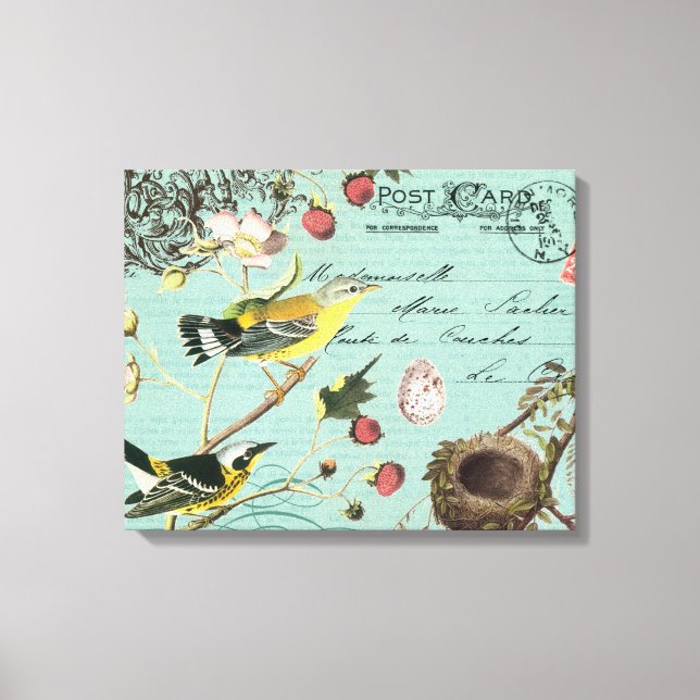 Vintage French Birds stretched canvas Print (Front)