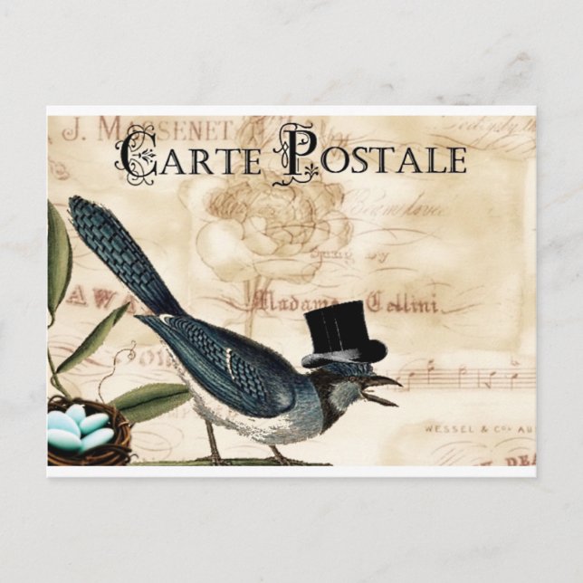 Vintage French Black Top Hart Bluebird Post Card (Front)