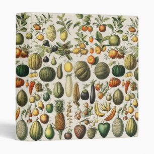 Vintage French Botanical Fruit Poster Art Binder