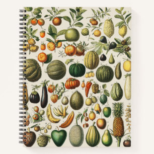 Vintage French Botanical Fruit Poster Art Notebook