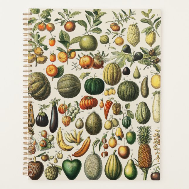 Vintage French Botanical Fruit Poster Art Planner (Front)