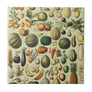 Vintage French Botanical Fruit Poster Art Tile
