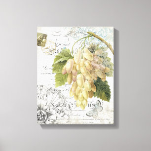 Vintage French Botanical Grapes stretched canvas