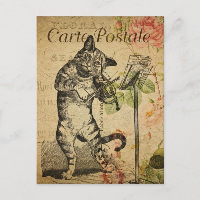 Vintage French Cat Playing the Violin Postcard (Front)