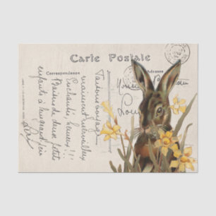 Vintage French Easter Rabbit Daffodil Postcard Tissue Paper