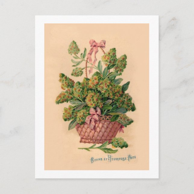 Vintage French Fleurs Illustration Postcard (Front)