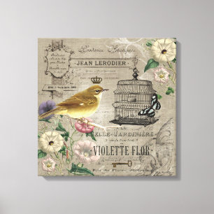 Vintage French garden bird stetched canvas Print