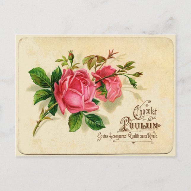 Vintage French Label Postcard (Front)