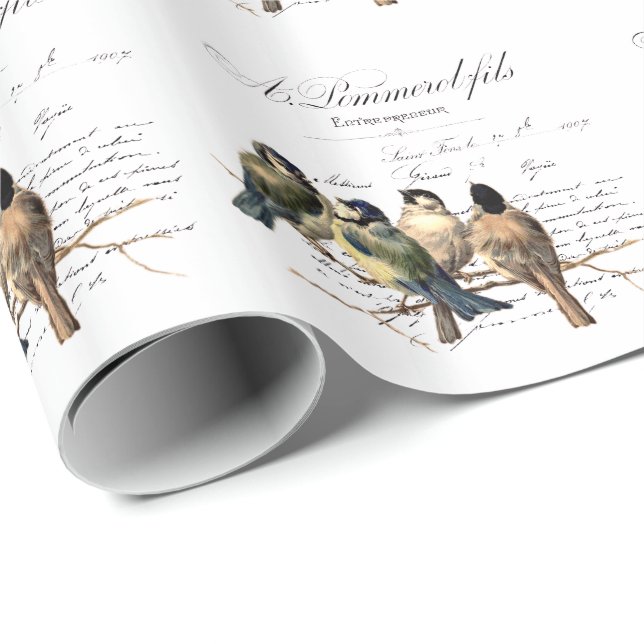 Vintage French Letter and Birds Wrapping Paper (Roll Corner)