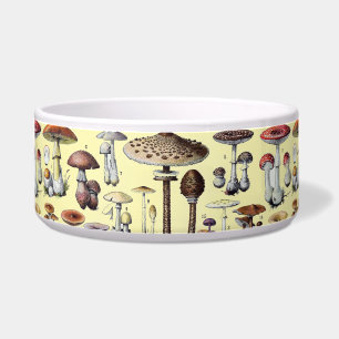 Vintage French Mushroom Cottagecore Botanical Art