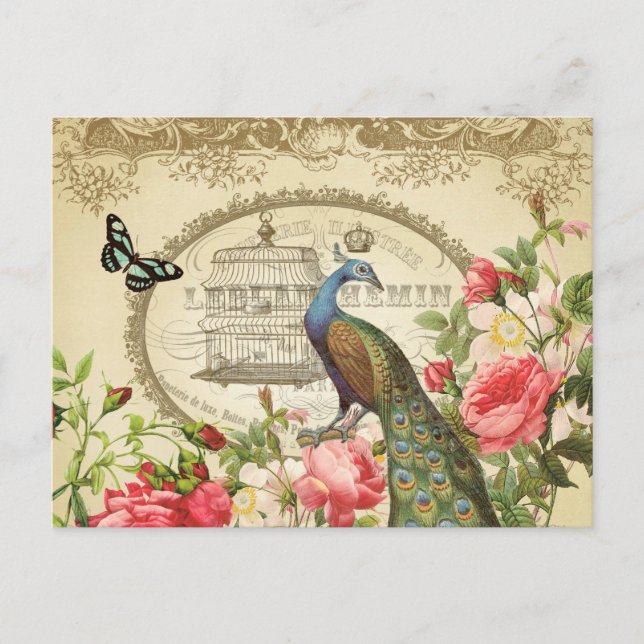 Vintage French Peacock postcard (Front)