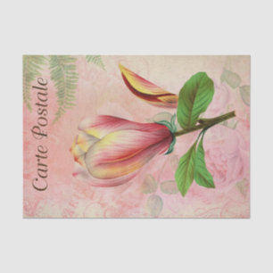 Vintage French Postcard Magnolia Blossom Decoupage Tissue Paper