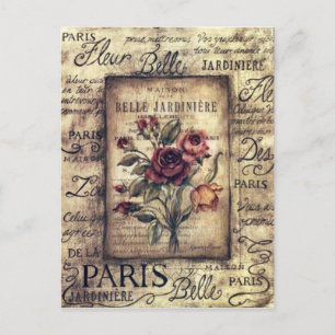 Vintage French Rose Design Postcard