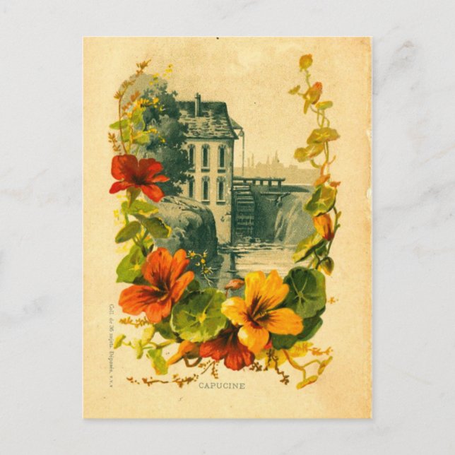 Vintage French scenic/nasturtium postcard (Front)