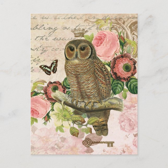 Vintage French shabby chic owl postcard (Front)
