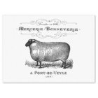 Vintage French Sheep Graphic
