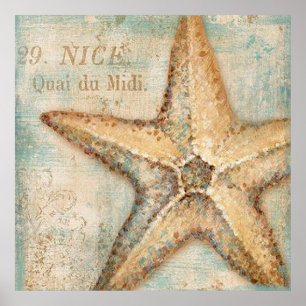 Vintage French Starfish Art Poster