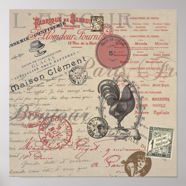 Vintage French Writing Paris Rooster typography Poster (Front)
