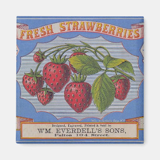 Vintage Fresh Strawberries Magnet
