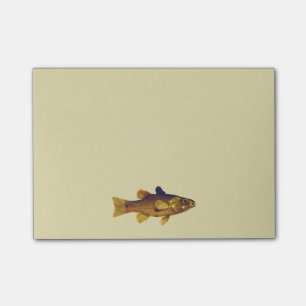 Vintage Freshwater Fish Ilustration Post-it Notes