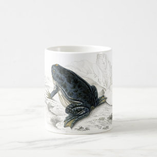 Vintage Frog Coffee Mug