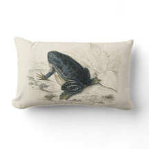 Vintage Frog