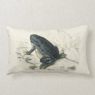 Vintage Frog Lumbar Pillow