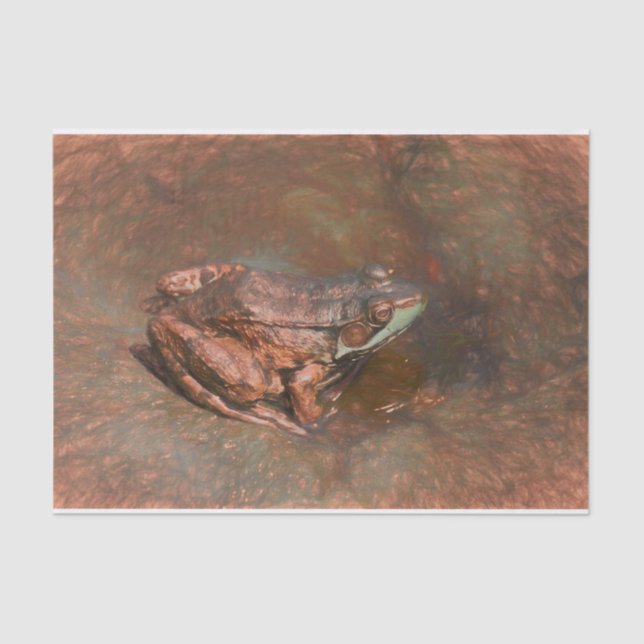 Vintage Frog On Rocks In Water Tissue Paper (Front)