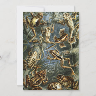 Vintage Frogs and Toads Batrachia by Ernst Haeckel Invitation