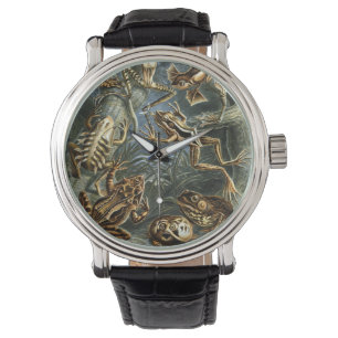 Vintage Frogs and Toads Batrachia by Ernst Haeckel Watch