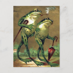 Vintage Frogs Postcard