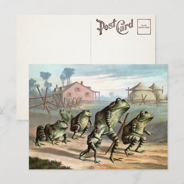 Vintage Frogs Postcard (Front/Back)