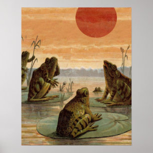 Vintage Frogs Sitting on Lily Pad Poster