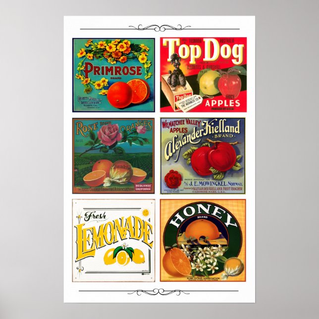 Vintage fruit advertisement labels poster (Front)