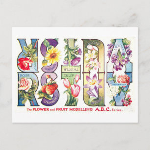 Vintage Fruit and Flower Alphabet R-V Postcard