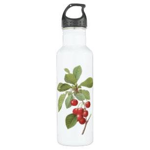 Vintage Fruit Cherry Food, Cherries by Redoute 710 Ml Water Bottle