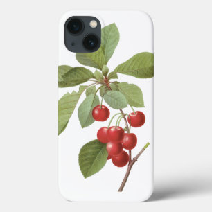 Vintage Fruit Cherry Food, Cherries by Redoute iPhone 13 Case