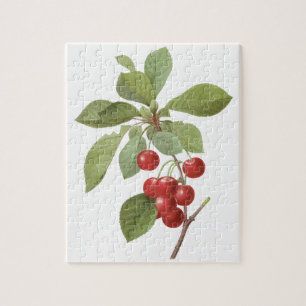 Vintage Fruit Cherry Food, Cherries by Redoute Jigsaw Puzzle