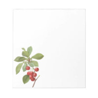 Vintage Fruit Cherry Food, Cherries by Redoute