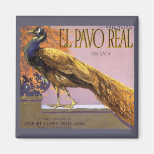 Vintage Fruit Crate Label Art El Pavo Peacock Bird Magnet
