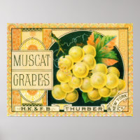 Vintage Fruit Crate Label Art, Muscat Grapes