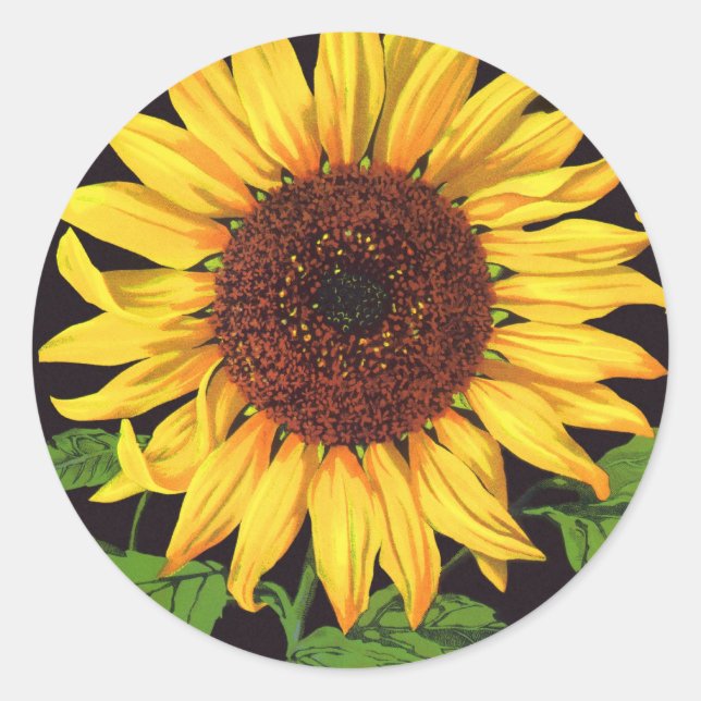 Vintage Fruit Crate Label Art Orangedale Sunflower (Front)