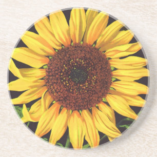 Vintage Fruit Crate Label Art Orangedale Sunflower Coaster