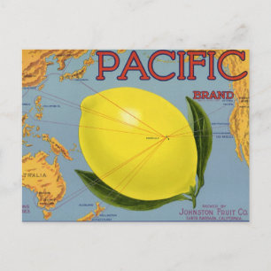 Vintage Fruit Crate Label Art Pacific Lemon Citrus Postcard