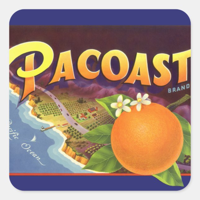 Vintage Fruit Crate Label Art, Pacoast Oranges (Front)