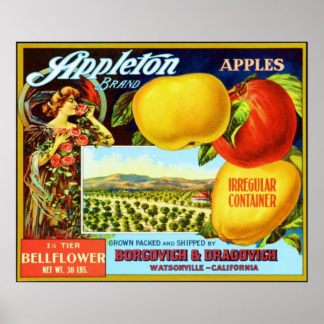 Vintage Fruit Crate Label Poster (Front)