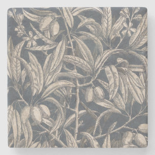 Vintage Fruit & Floral I Stone Coaster