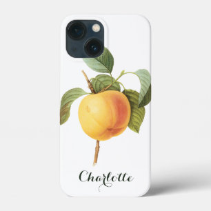 Vintage Fruit Food, Calville Apple by Redoute iPhone 13 Mini Case