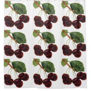 Vintage Fruit Foods, Ripe Cherries from a Tree