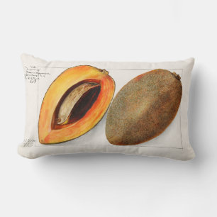 Vintage Fruit Lumbar Pillow